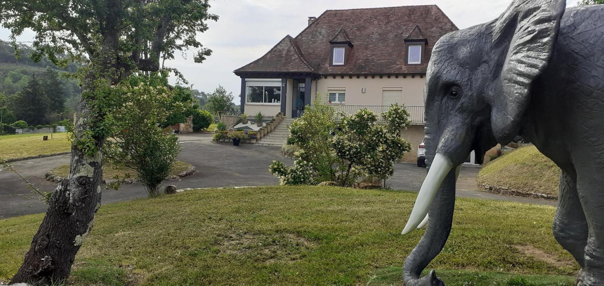 Bed and Breakfast Domaine Du Grezal Sarlat Exterior foto